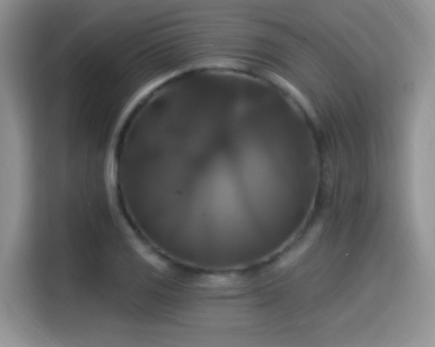 X0000115321125200911091151