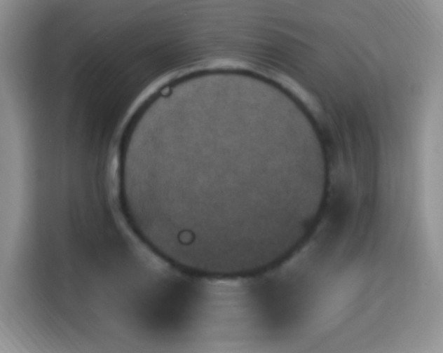 X0000115321126200911091151