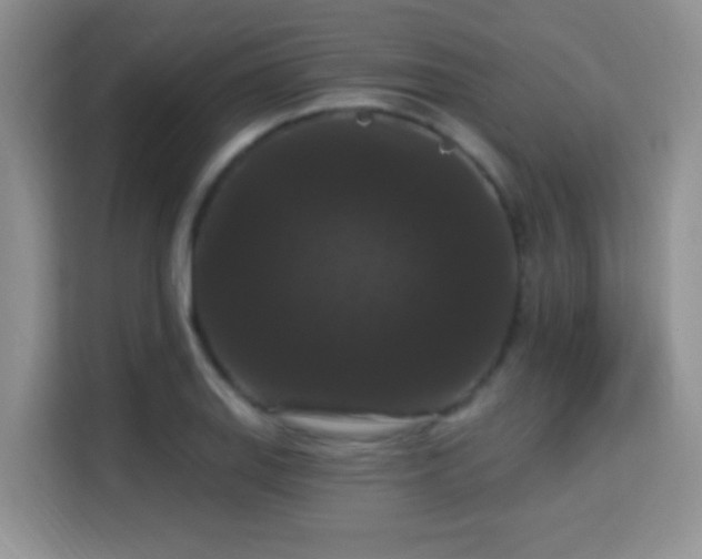 X0000115321127200911091151