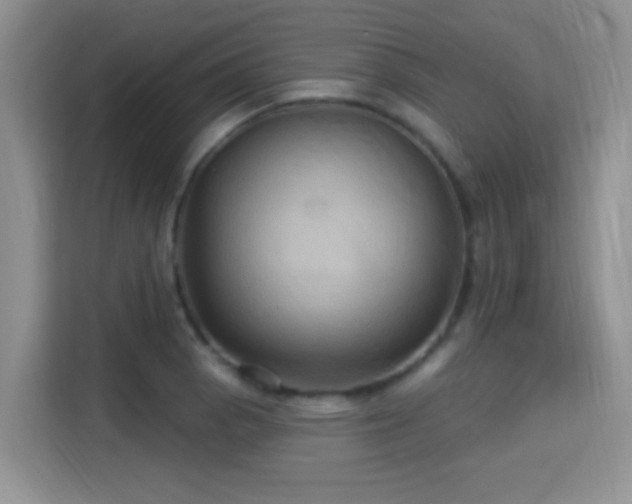 X0000115321129200911091151
