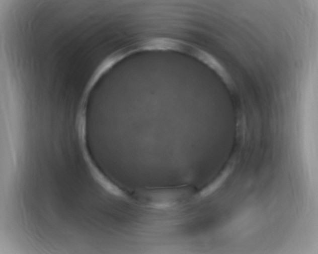 X0000115321130200911091151