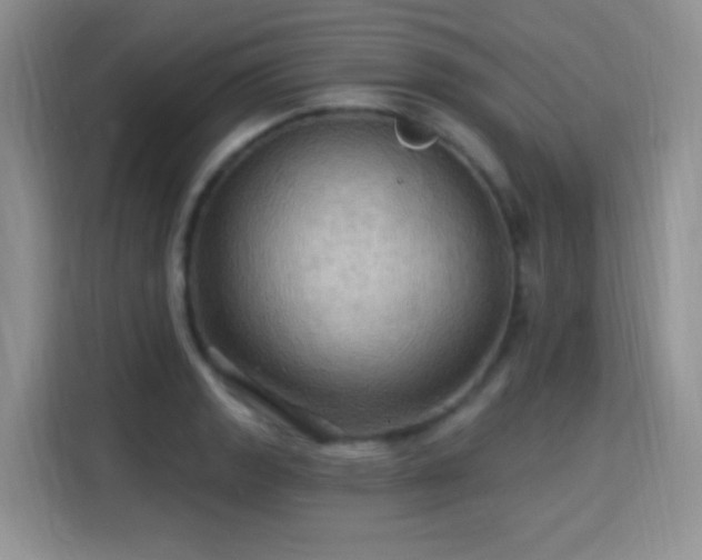 X0000115321133200911091151
