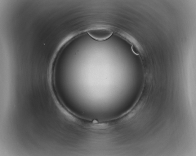 X0000115321135200911091151