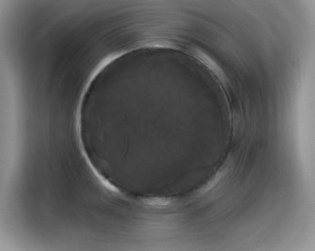 X0000115321141200911091152