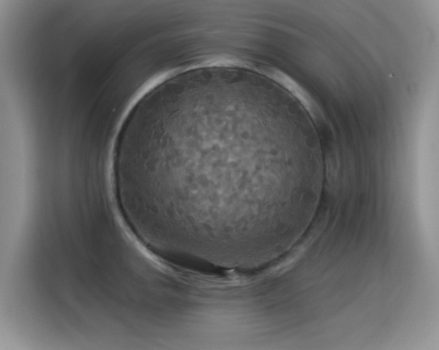 X0000115321142200911091152