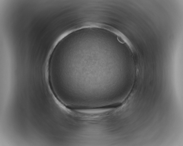 X0000115321143200911091152