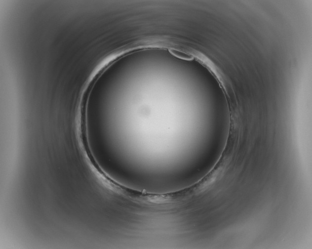 X0000115321147200911091152