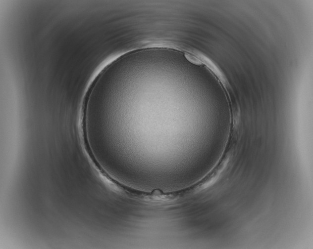 X0000115321149200911091152