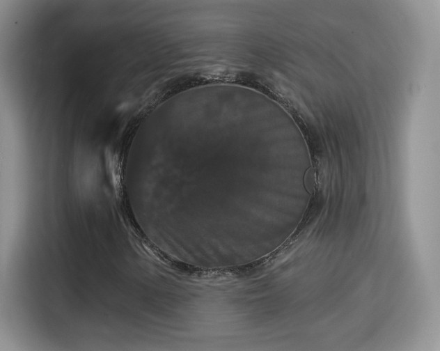 X0000115321154200911091151