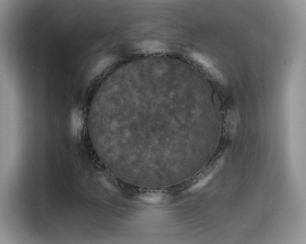 X0000115321157200911091151