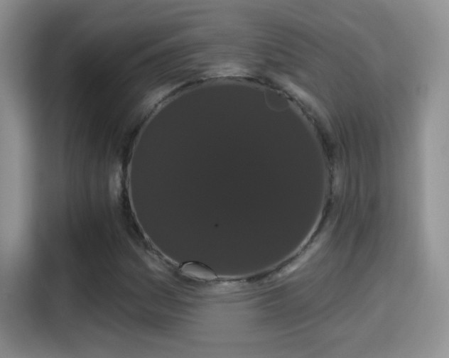 X0000115321161200911091151