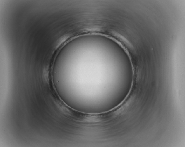 X0000115321162200911091151