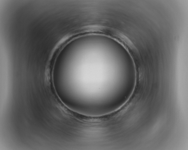 X0000115321164200911091151