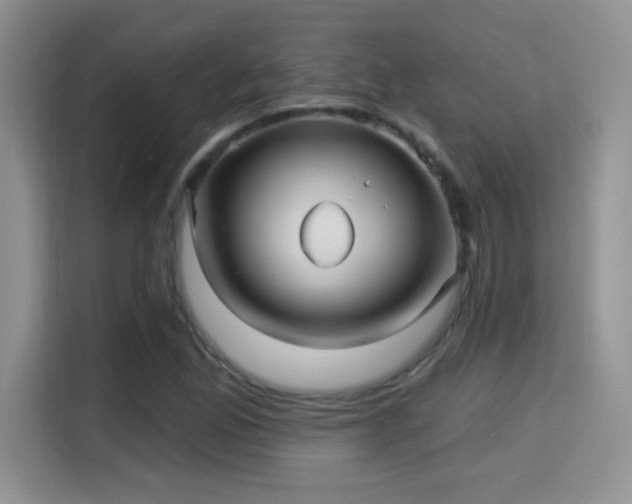 X0000115321165200911091151