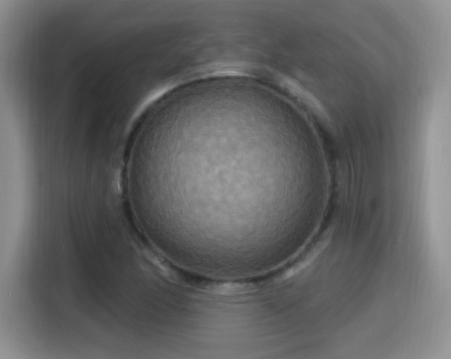 X0000115321166200911091151