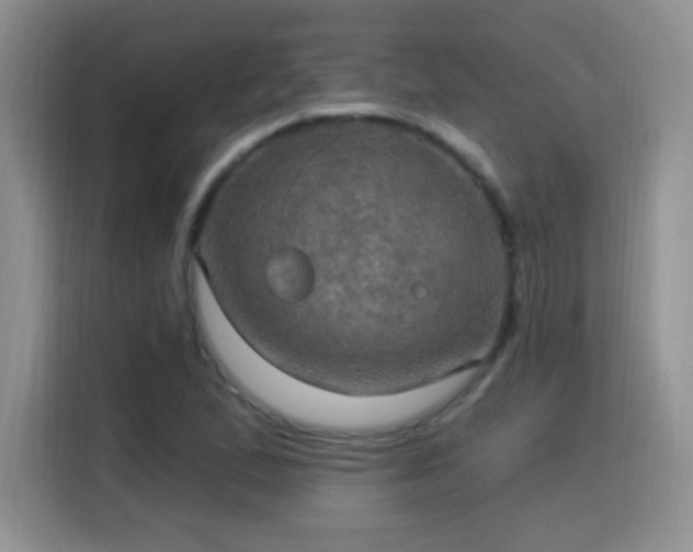 X0000115321167200911091151
