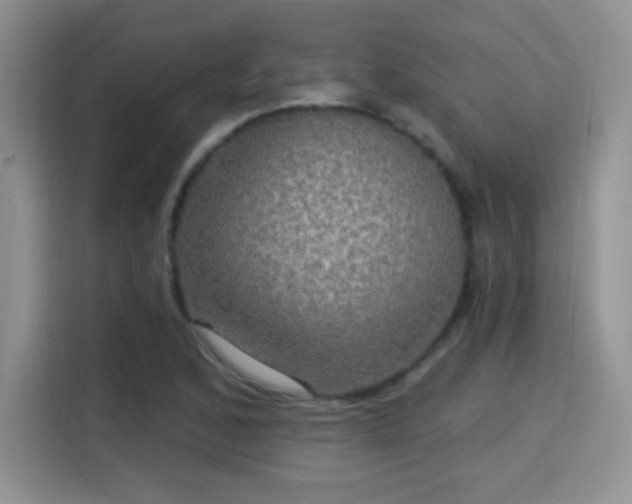 X0000115321168200911091151