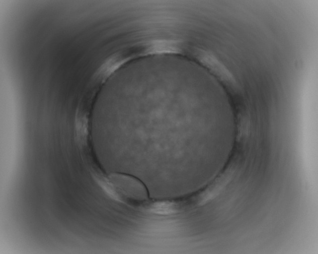 X0000115321169200911091151