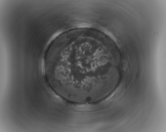 X0000115321171200911091151