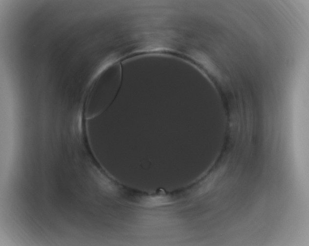 X0000115321173200911091151