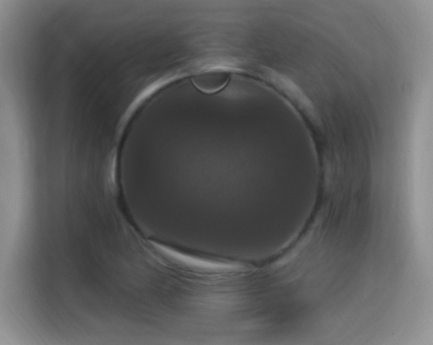 X0000115321174200911091151