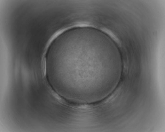 X0000115321175200911091151