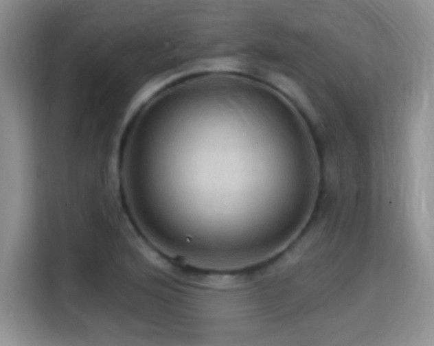 X0000115321176200911091151