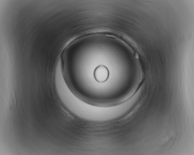 X0000115321177200911091151