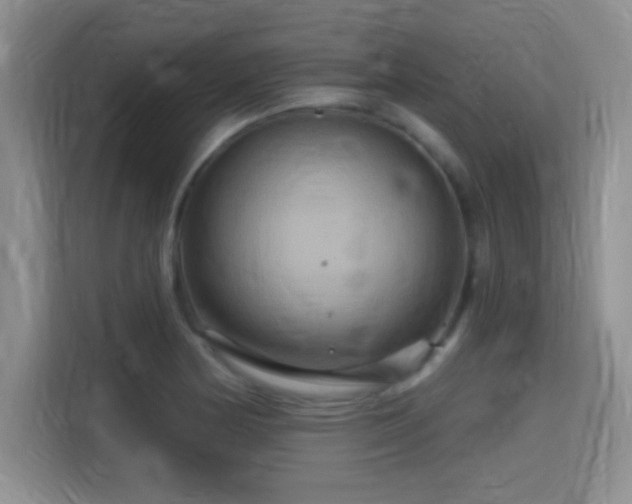 X0000115321178200911091151