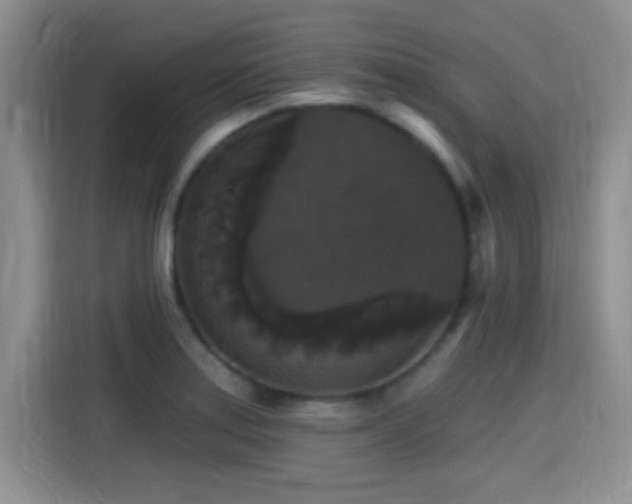 X0000115321179200911091151