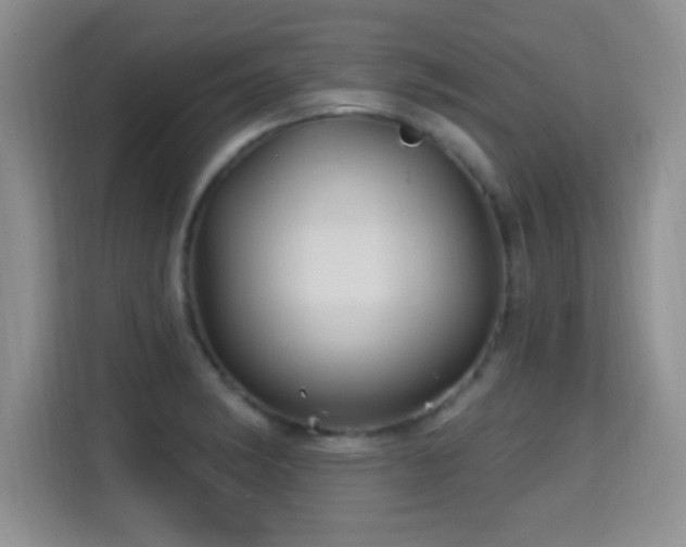 X0000115321182200911091151
