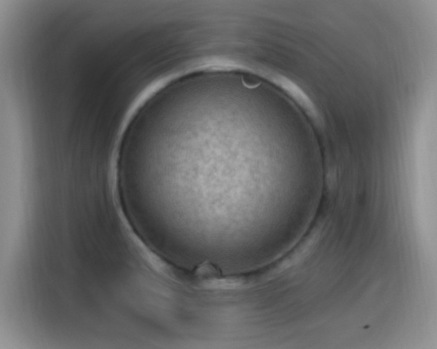X0000115321183200911091151