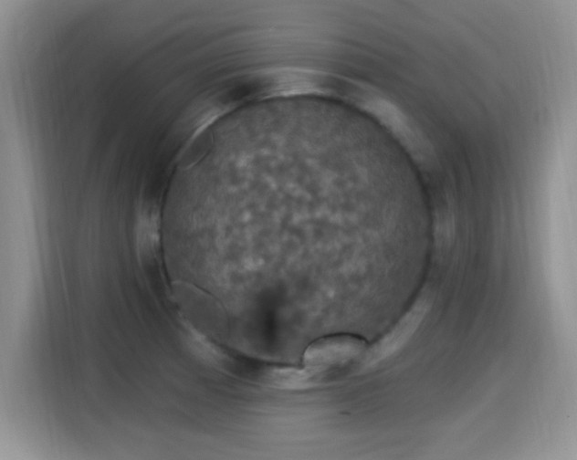 X0000115321185200911091151