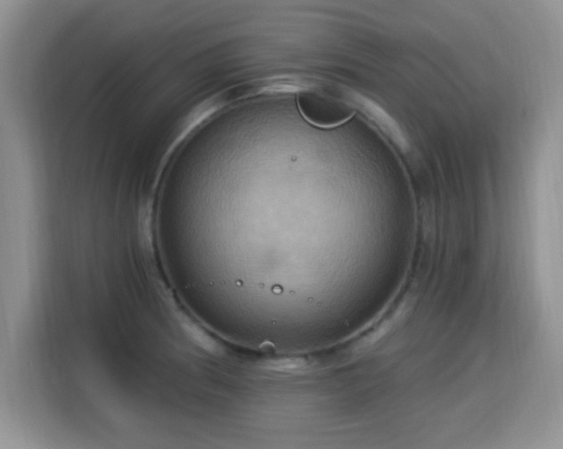 X0000115321186200911091151