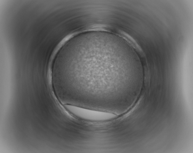 X0000115321188200911091151