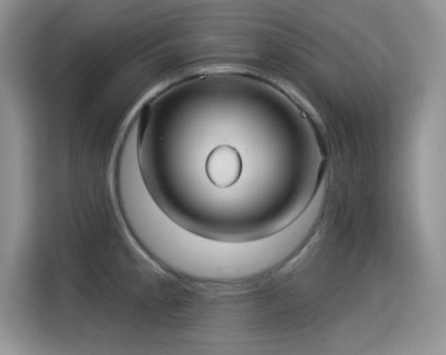X0000115321189200911091151