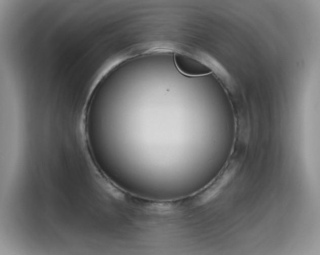 X0000115321190200911091151