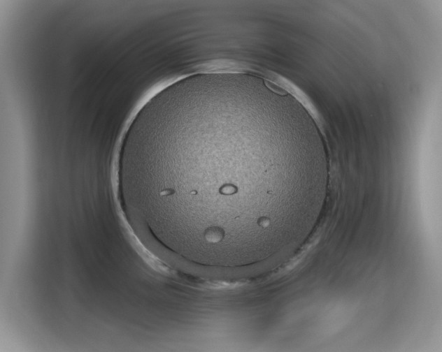 X0000115321195200911091151