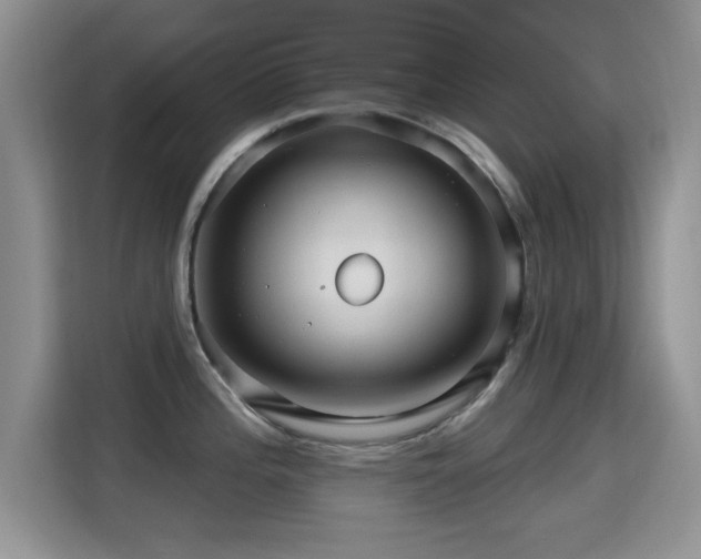 X0000115321196200911091151