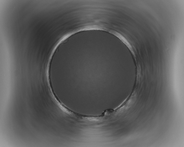 X0000115321197200911091150