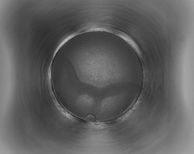 X0000115321198200911091150