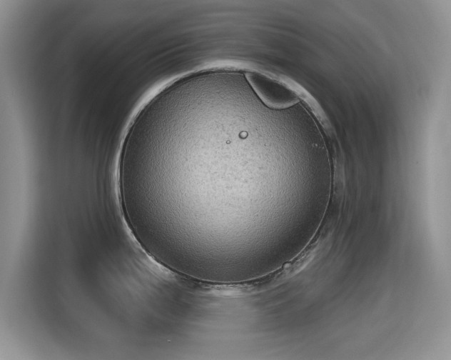 X0000115321199200911091150