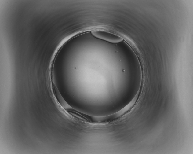 X0000115321200200911091150