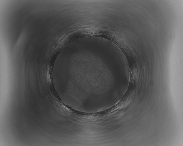 X0000115321202200911091150