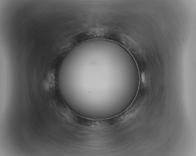 X0000115321203200911091150
