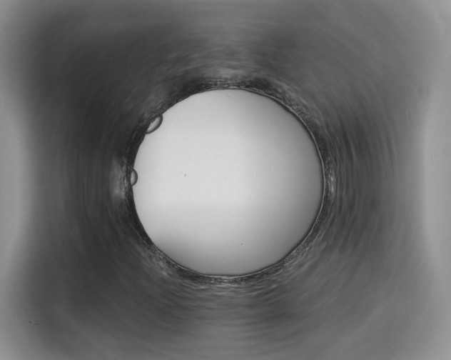 X0000115321204200911091150
