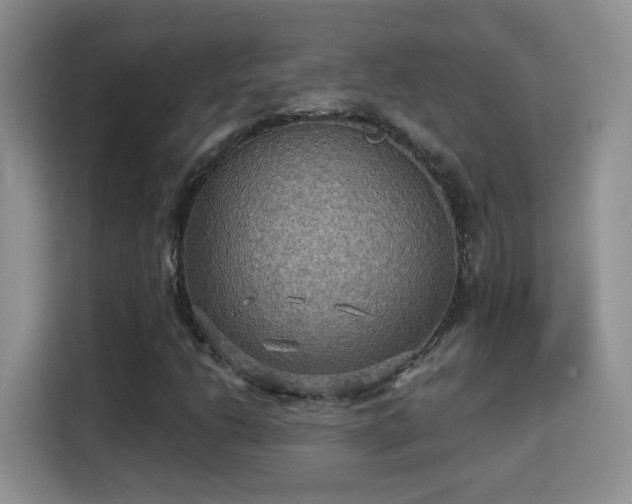 X0000115321206200911091150