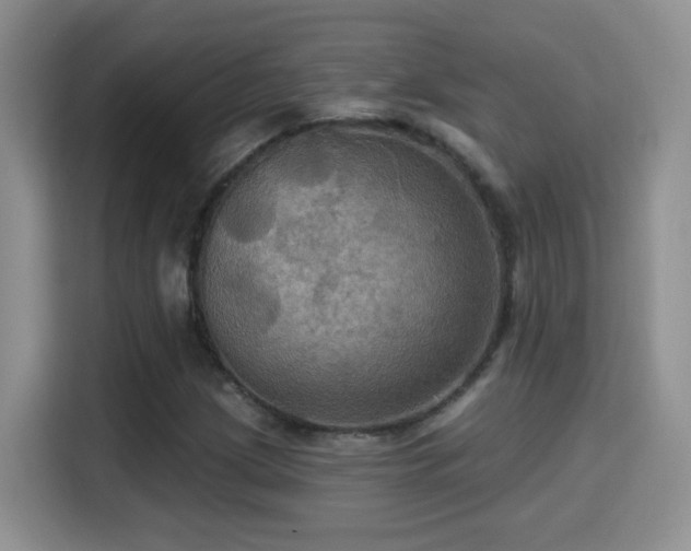 X0000115321209200911091150