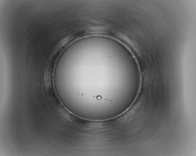 X0000115321211200911091150