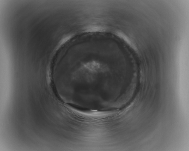X0000115321213200911091150